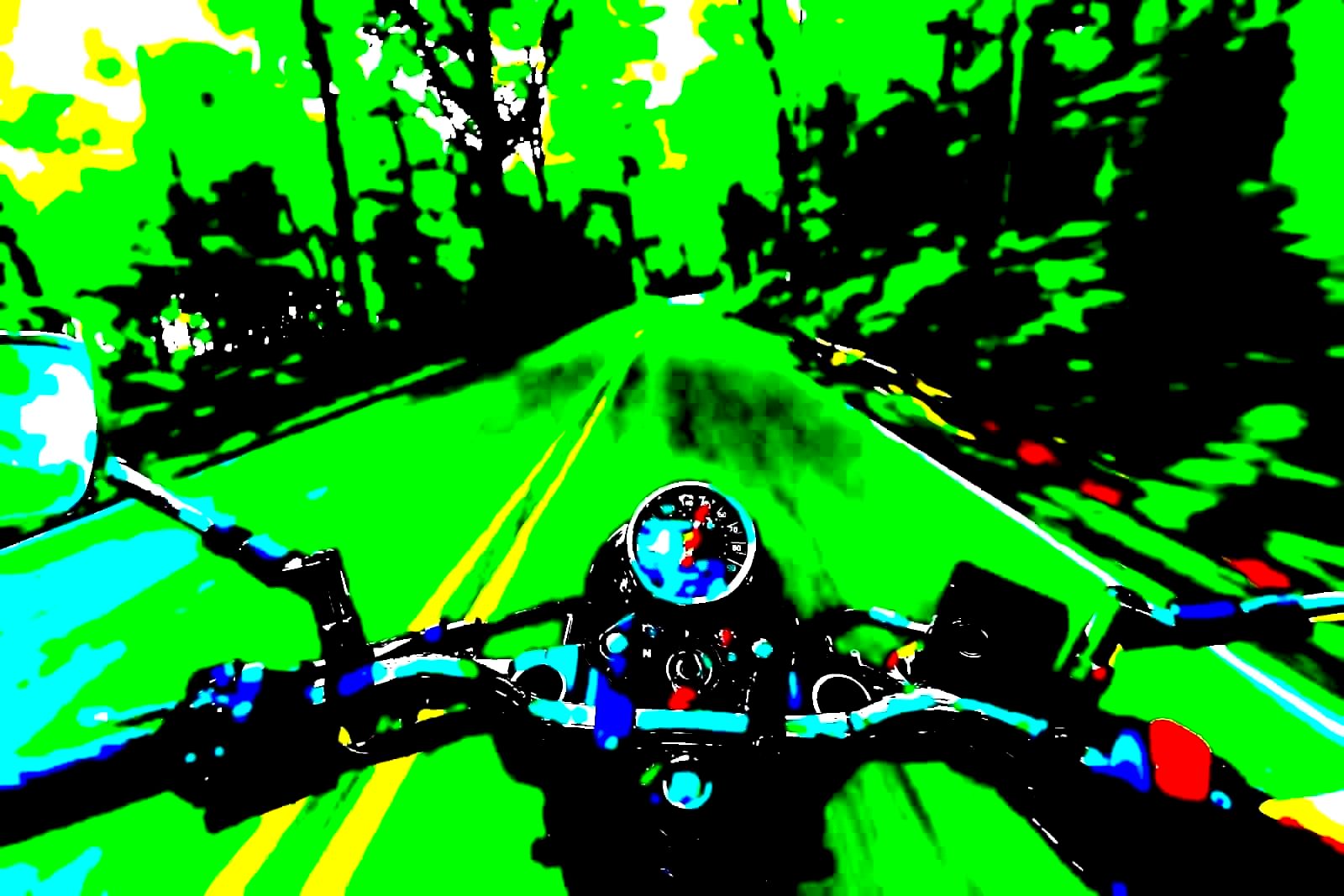 Harley-Davidson motorcycle on the road representing the brand's customer base