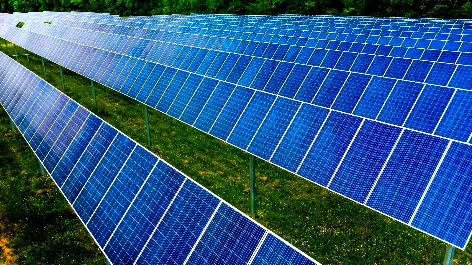 Rows of blue solar panels mounted on grassy ground at solar energy station